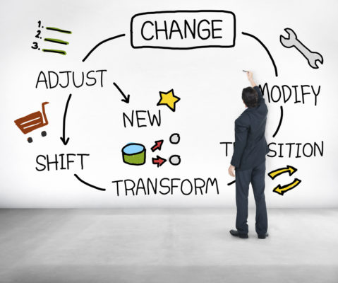 Project and Change Management - Netsuite Professional Services